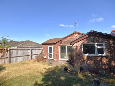 Picture 14